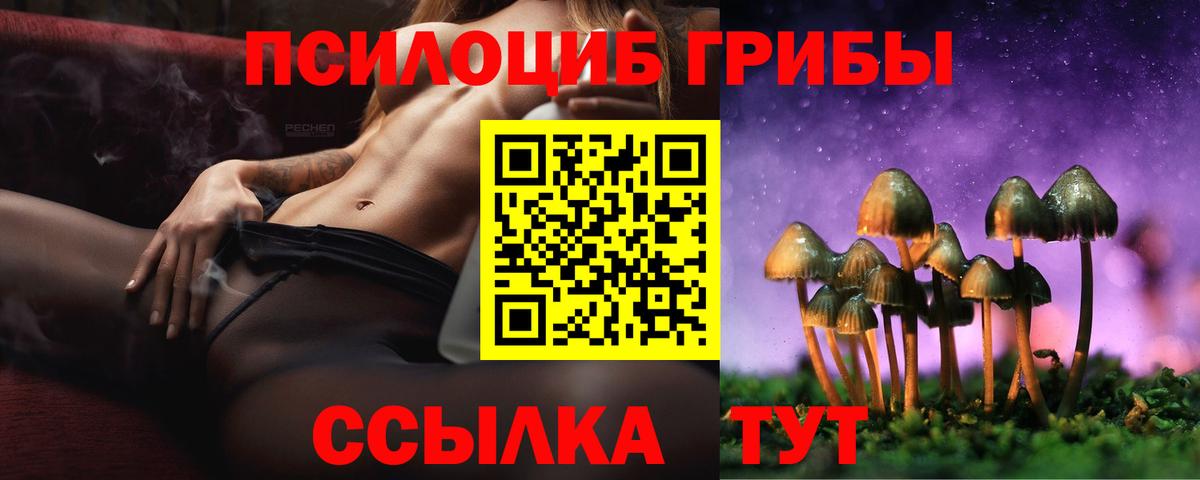 Галлюциногенные грибы ЛСД  Псилоцибиновые грибы Psilocybine cubensis  Гусь-Хрустальный  Вход с VPN 