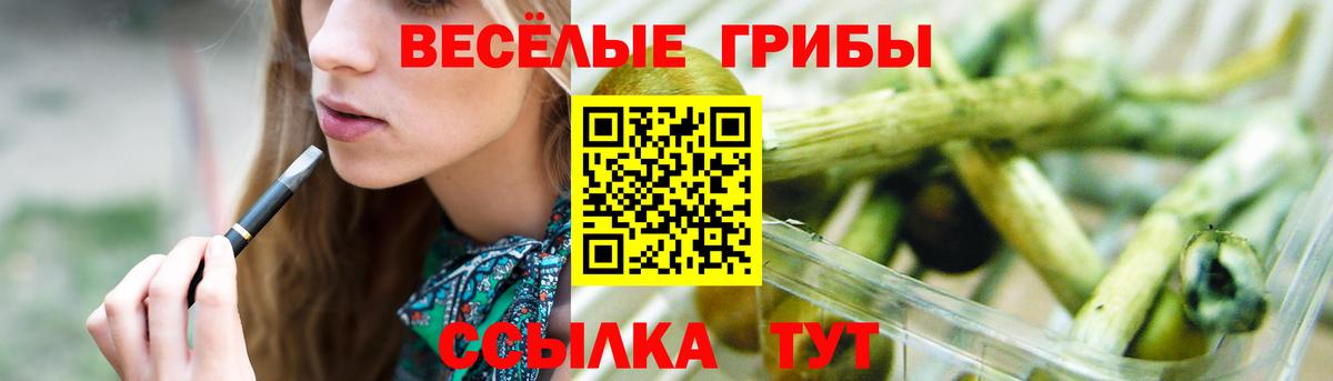 Галлюциногенные грибы Psilocybine cubensis Гусь-Хрустальный